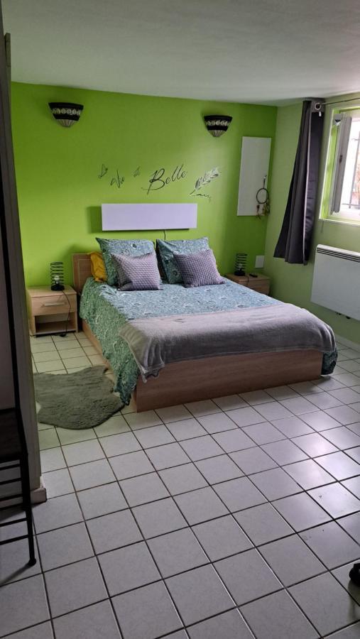 T1 bis indépendant dans maison individuelle Albi Extérieur photo
