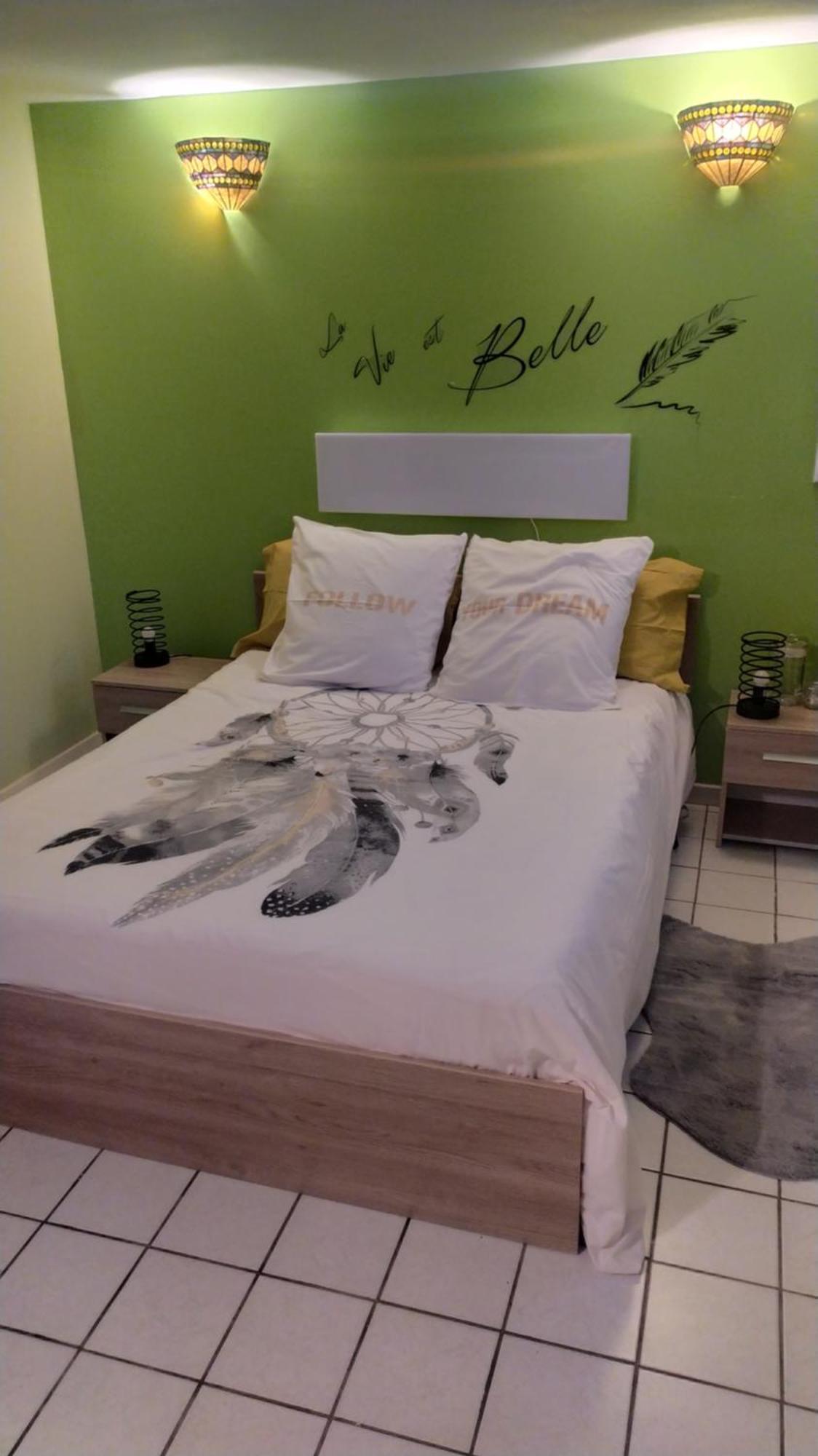 T1 bis indépendant dans maison individuelle Albi Extérieur photo